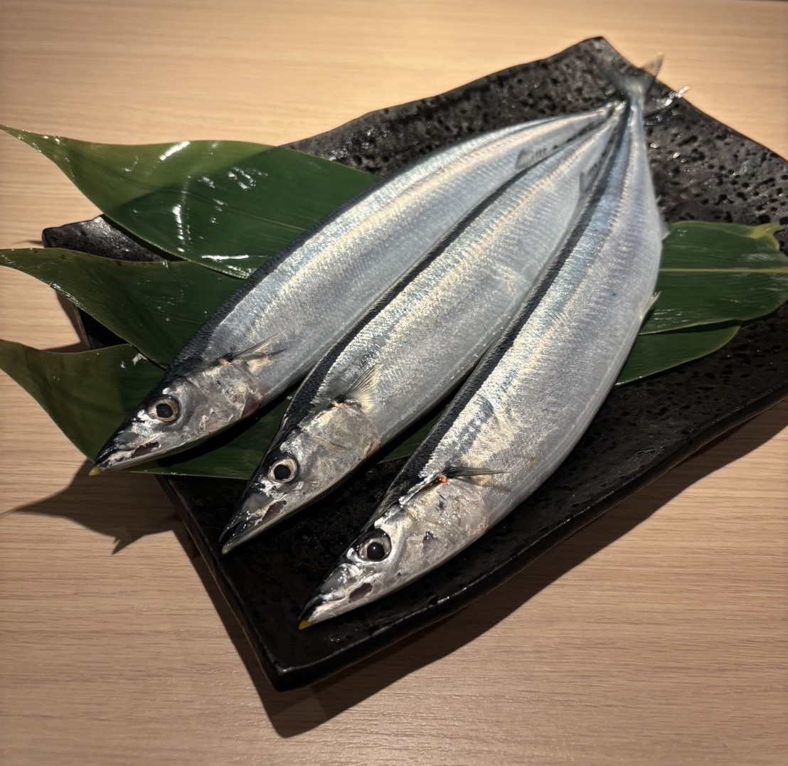 \ぐるなび限定 / 季節のコース【9品】